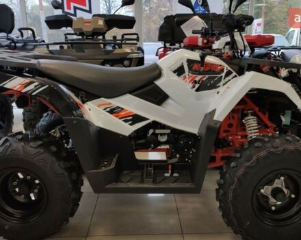 Кайо AU 300, объемом двигателя 0.27 л и пробегом 0 тыс. км за 4500 $, фото 6 на Automoto.ua