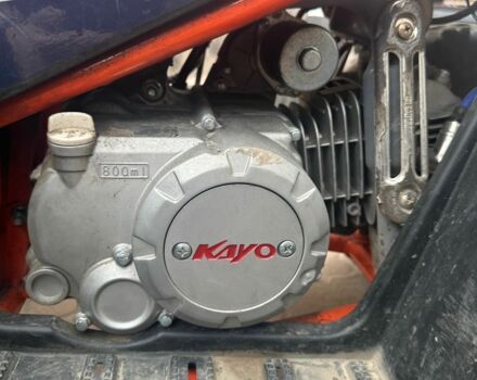 Кайо Bull, объемом двигателя 0 л и пробегом 0 тыс. км за 1300 $, фото 14 на Automoto.ua