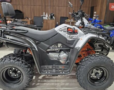 Кайо Bull, об'ємом двигуна 0.2 л та пробігом 0 тис. км за 3100 $, фото 5 на Automoto.ua