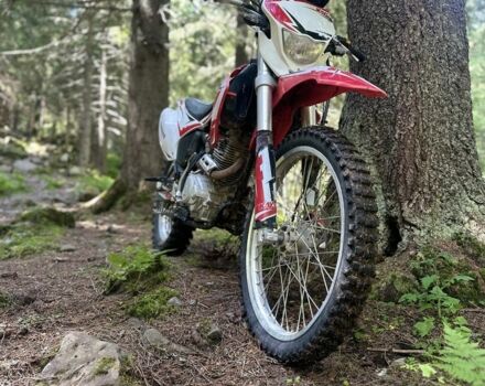 Кайо T1, об'ємом двигуна 0.25 л та пробігом 0 тис. км за 1020 $, фото 1 на Automoto.ua