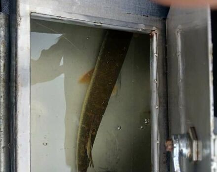 Синий Казанка 5М3, объемом двигателя 90 л и пробегом 0 тыс. км за 10000 $, фото 26 на Automoto.ua