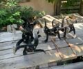 Синій Кентавр МБ 2060Д, об'ємом двигуна 296 л та пробігом 20 тис. км за 39900 $, фото 10 на Automoto.ua