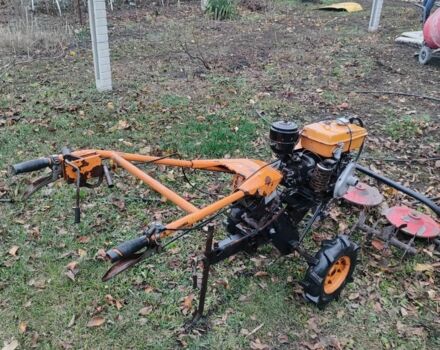 Кентавр Інша, об'ємом двигуна 0 л та пробігом 0 тис. км за 543 $, фото 2 на Automoto.ua