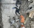 Кентавр Другая, объемом двигателя 0 л и пробегом 5 тыс. км за 18000 $, фото 1 на Automoto.ua