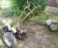 Кентавр Інша, об'ємом двигуна 0 л та пробігом 2 тис. км за 728 $, фото 1 на Automoto.ua