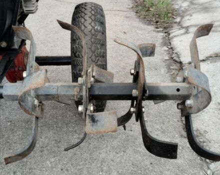 Кентавр Інша, об'ємом двигуна 10 л та пробігом 10 тис. км за 544 $, фото 4 на Automoto.ua