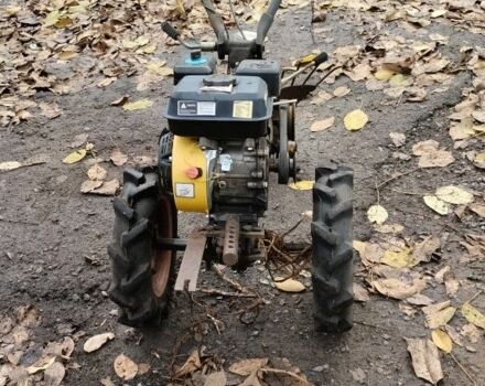 Кентавр Інша, об'ємом двигуна 0.2 л та пробігом 0 тис. км за 120 $, фото 1 на Automoto.ua