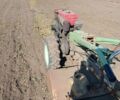 Кентавр Другая, объемом двигателя 0 л и пробегом 0 тыс. км за 674 $, фото 1 на Automoto.ua