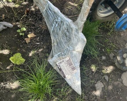 Кентавр Другая, объемом двигателя 0 л и пробегом 0 тыс. км за 449 $, фото 4 на Automoto.ua