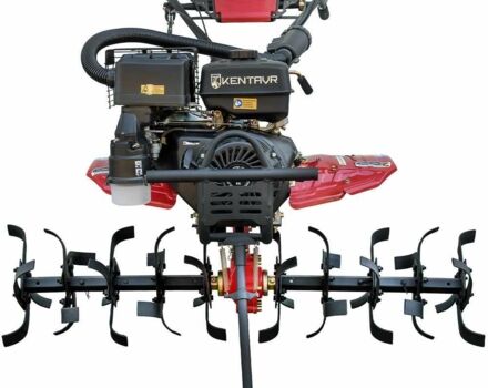 Кентавр Інша, об'ємом двигуна 0.46 л та пробігом 1 тис. км за 581 $, фото 11 на Automoto.ua