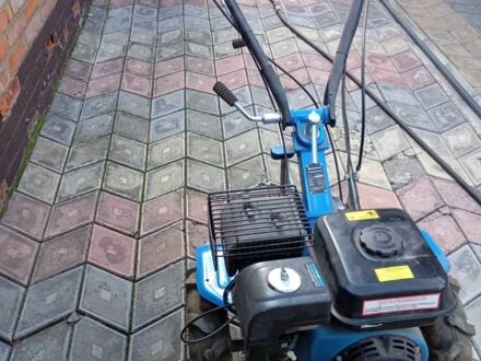 Кентавр Інша, об'ємом двигуна 0 л та пробігом 0 тис. км за 316 $, фото 1 на Automoto.ua