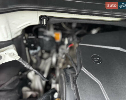 Белый Киа Карнивал, объемом двигателя 2.2 л и пробегом 23 тыс. км за 41900 $, фото 123 на Automoto.ua