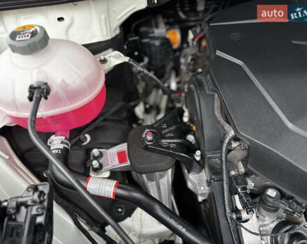 Белый Киа Карнивал, объемом двигателя 2.2 л и пробегом 23 тыс. км за 41900 $, фото 122 на Automoto.ua