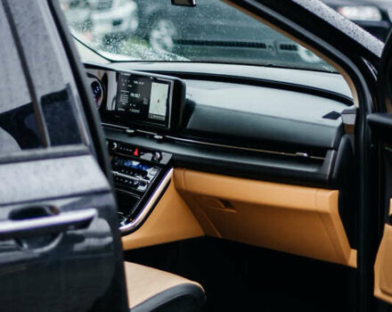 Сірий Кіа Карнівал, об'ємом двигуна 2.2 л та пробігом 147 тис. км за 33999 $, фото 47 на Automoto.ua