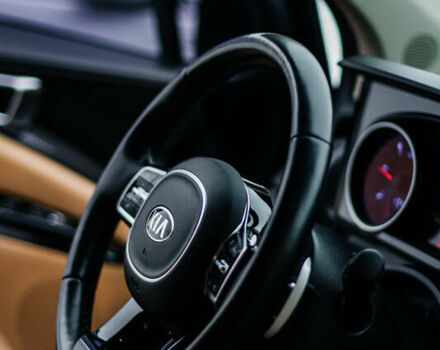 Сірий Кіа Карнівал, об'ємом двигуна 2.2 л та пробігом 147 тис. км за 33999 $, фото 50 на Automoto.ua