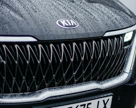 Сірий Кіа Карнівал, об'ємом двигуна 2.2 л та пробігом 147 тис. км за 33999 $, фото 61 на Automoto.ua