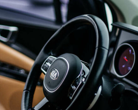 Сірий Кіа Карнівал, об'ємом двигуна 2.2 л та пробігом 147 тис. км за 33999 $, фото 48 на Automoto.ua