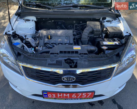 Білий Кіа Сід, об'ємом двигуна 1.6 л та пробігом 235 тис. км за 7500 $, фото 36 на Automoto.ua