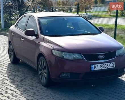 Киа Черато 2011 в Киеве на Automoto.ua Красный Киа Черато, объемом двигателя 1.59 л и пробегом 264 тыс. км за 6899 $, фото 1 на Automoto.ua