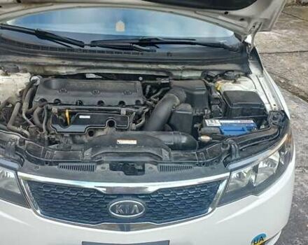 Киа Форте 2012 в Нетешине на Automoto.ua Белый Киа Форте, объемом двигателя 2 л и пробегом 213 тыс. км за 7400 $, фото 11 на Automoto.ua