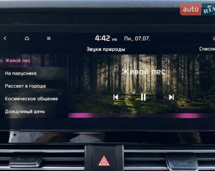 Сірий Кіа Niro, об'ємом двигуна 0 л та пробігом 116 тис. км за 21800 $, фото 81 на Automoto.ua