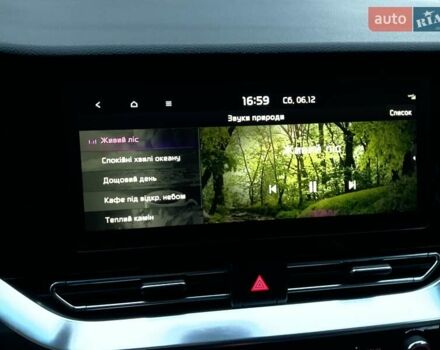 Серый Киа Niro, объемом двигателя 0 л и пробегом 82 тыс. км за 15999 $, фото 39 на Automoto.ua
