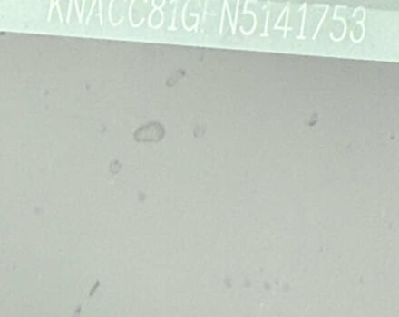 Серый Киа Niro, объемом двигателя 0 л и пробегом 37 тыс. км за 24400 $, фото 33 на Automoto.ua