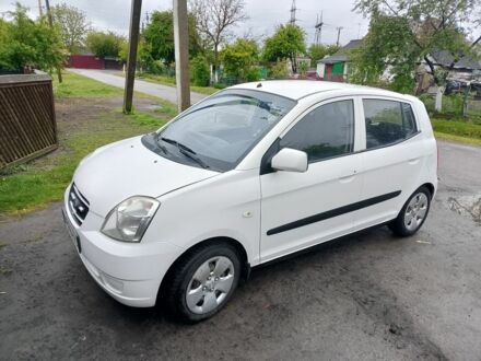 Кіа Піканто 2006 у Луцьку на Automoto.ua Білий Кіа Піканто, об'ємом двигуна 1 л та пробігом 230 тис. км за 2800 $, фото 1 на Automoto.ua