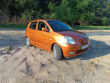 Киа Пиканто 2006 в Львове на Automoto.ua Оранжевый Киа Пиканто, объемом двигателя 1.1 л и пробегом 163 тыс. км за 4900 $, фото 1 на Automoto.ua