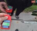 Черный Киа Рио, объемом двигателя 1.4 л и пробегом 184 тыс. км за 4999 $, фото 79 на Automoto.ua
