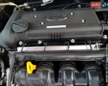Чорний Кіа Ріо, об'ємом двигуна 1.4 л та пробігом 42 тис. км за 8200 $, фото 39 на Automoto.ua