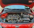 Красный Киа Рио, объемом двигателя 1.4 л и пробегом 24 тыс. км за 12400 $, фото 19 на Automoto.ua