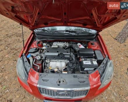 Красный Киа Рио, объемом двигателя 1.4 л и пробегом 275 тыс. км за 4250 $, фото 7 на Automoto.ua