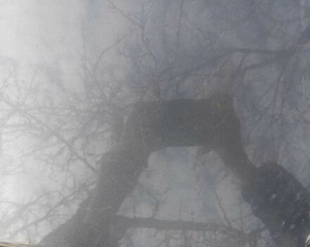 Сірий Кіа Ріо, об'ємом двигуна 0 л та пробігом 3 тис. км за 8000 $, фото 3 на Automoto.ua