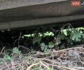 Синий Киа Рио, объемом двигателя 1.4 л и пробегом 130 тыс. км за 5500 $, фото 9 на Automoto.ua