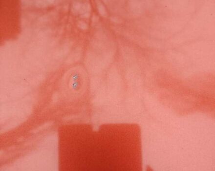 Оранжевый Киа Рио, объемом двигателя 1.4 л и пробегом 181 тыс. км за 5100 $, фото 8 на Automoto.ua