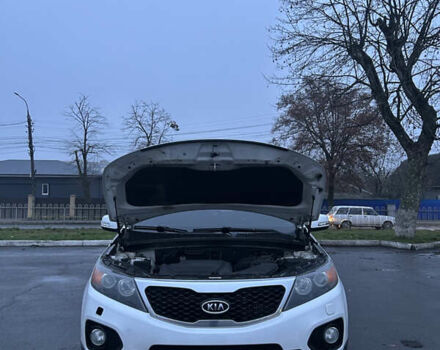 Білий Кіа Соренто, об'ємом двигуна 2.2 л та пробігом 200 тис. км за 13500 $, фото 2 на Automoto.ua