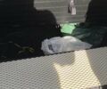 Белый Киа Соренто, объемом двигателя 2.4 л и пробегом 232 тыс. км за 10999 $, фото 13 на Automoto.ua