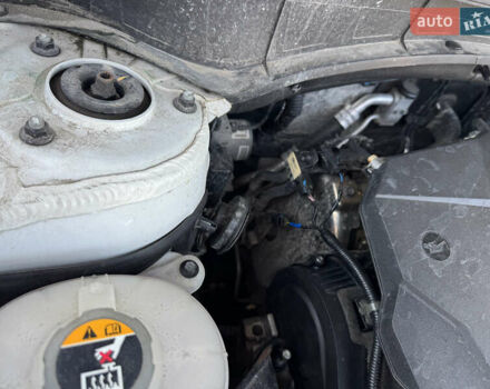 Белый Киа Соренто, объемом двигателя 2.15 л и пробегом 121 тыс. км за 31500 $, фото 73 на Automoto.ua