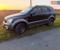 Киа Соренто 2005 в Березно на Automoto.ua Черный Киа Соренто, объемом двигателя 2.5 л и пробегом 291 тыс. км за 7200 $, фото 1 на Automoto.ua