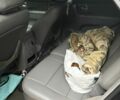 Киа Соренто 2006 в Одессе на Automoto.ua Черный Киа Соренто, объемом двигателя 2.5 л и пробегом 280 тыс. км за 4000 $, фото 14 на Automoto.ua