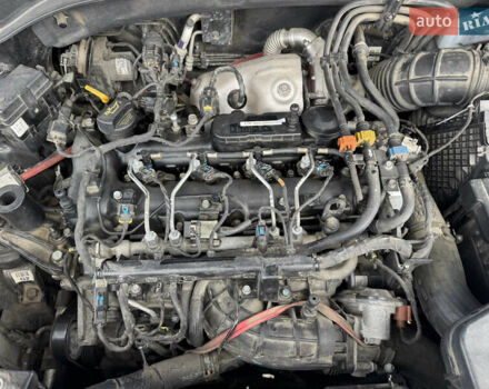 Киа Соренто 2012 в Новояворовск на Automoto.ua Черный Киа Соренто, объемом двигателя 2.2 л и пробегом 233 тыс. км за 16500 $, фото 53 на Automoto.ua