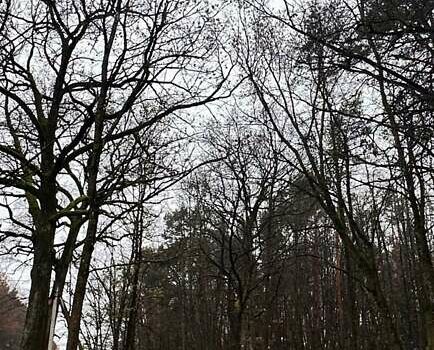 Черный Киа Соренто, объемом двигателя 2.2 л и пробегом 318 тыс. км за 15800 $, фото 4 на Automoto.ua