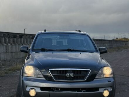 Киа Соренто 2006 в Ровно на Automoto.ua Черный Киа Соренто, объемом двигателя 2.5 л и пробегом 270 тыс. км за 4200 $, фото 1 на Automoto.ua