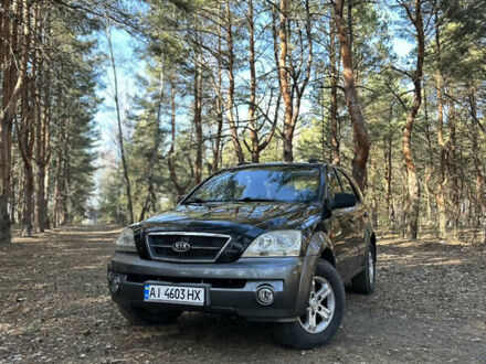 Киа Соренто 2006 в Вышгороде на Automoto.ua Черный Киа Соренто, объемом двигателя 2.5 л и пробегом 192 тыс. км за 6500 $, фото 1 на Automoto.ua