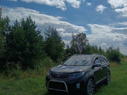 Кіа Соренто 2014 у Полонном на Automoto.ua Чорний Кіа Соренто, об'ємом двигуна 2.2 л та пробігом 220 тис. км за 18500 $, фото 1 на Automoto.ua