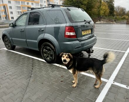 Киа Соренто 2006 в Виннице на Automoto.ua Серый Киа Соренто, объемом двигателя 2.5 л и пробегом 220 тыс. км за 2700 $, фото 9 на Automoto.ua