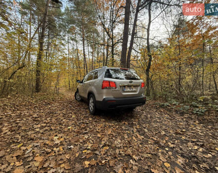 Киа Соренто 2010 в Львове на Automoto.ua Серый Киа Соренто, объемом двигателя 2.36 л и пробегом 190 тыс. км за 9500 $, фото 21 на Automoto.ua