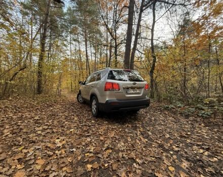 Киа Соренто 2010 в Львове на Automoto.ua Серый Киа Соренто, объемом двигателя 2.4 л и пробегом 190 тыс. км за 9500 $, фото 20 на Automoto.ua