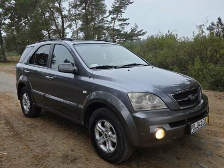 Киа Соренто 2005 в Березно на Automoto.ua Серый Киа Соренто, объемом двигателя 2.5 л и пробегом 287 тыс. км за 4250 $, фото 1 на Automoto.ua